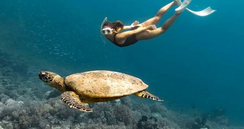 Exclusive 5 Secret Gilis: Snorkeling & Island Hopping - Starting the Journey: From Land to Sea