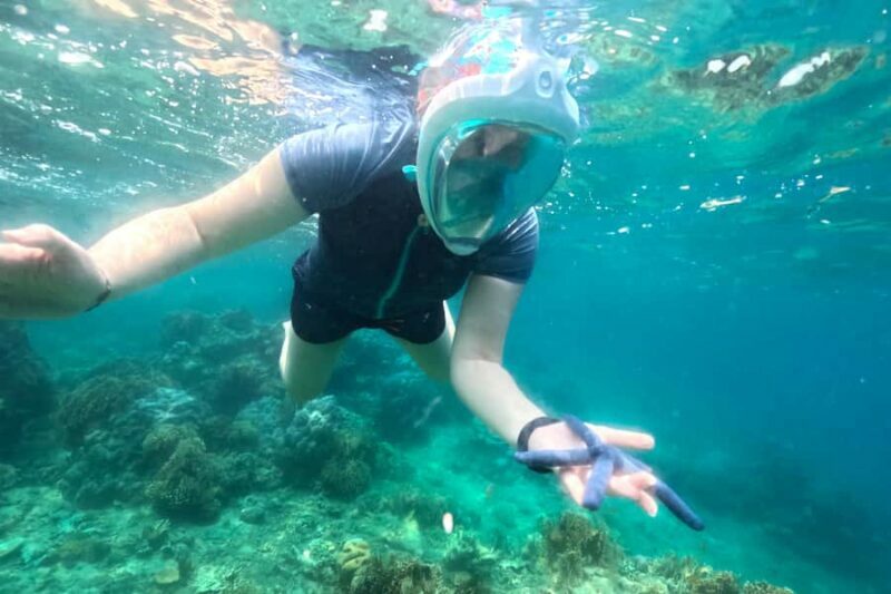 Exclusive 5 Secret Gilis: Snorkeling & Island Hopping - Gili Rengit: The Peaceful Final Stop