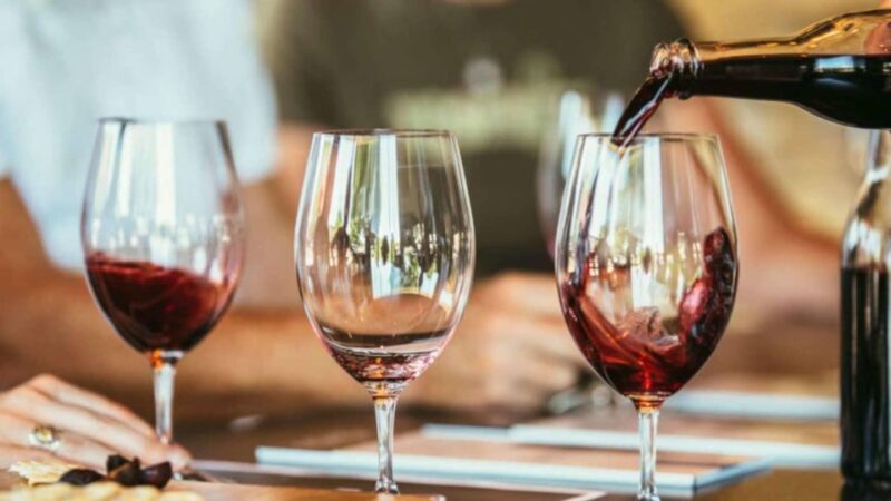 Exclusive Arrábida Wine and Food Tasting Tour - Customer Ratings and Reviews
