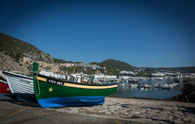 Exclusive Arrábida Wine and Food Tasting Tour - Lunch and Free Time