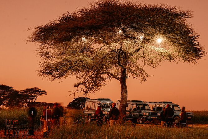 Exclusive Balloon Safari & Breakfast in Serengeti & Tarangire - Pricing and Additional Costs