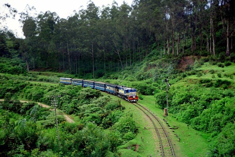 Exclusive, Bangalore Mysore Ooty Tour (05 Nights / 06 Days) - Destinations and Highlights