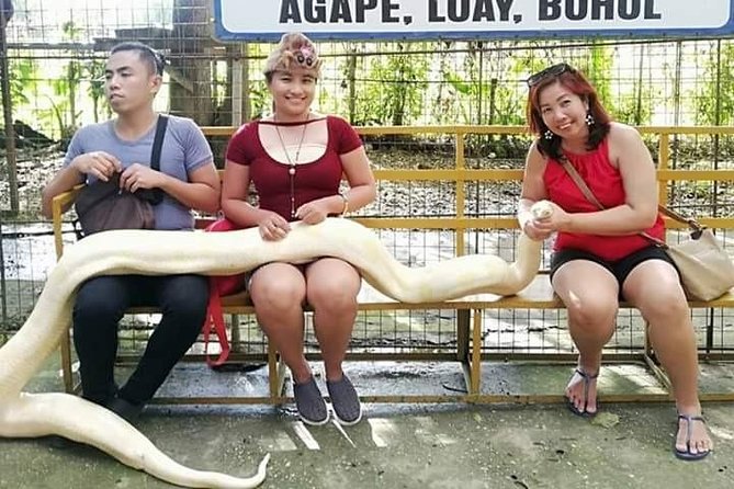 Exclusive Bohol,Philippines Chocolate Hills-Tarsier Tour - Tour Overview and Details