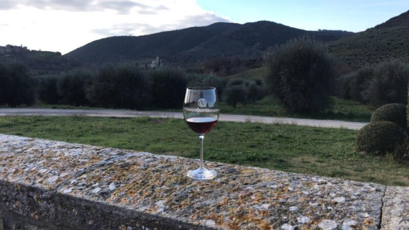Exclusive Brunello Di Montalcino From Florence - Guided Wine Tastings