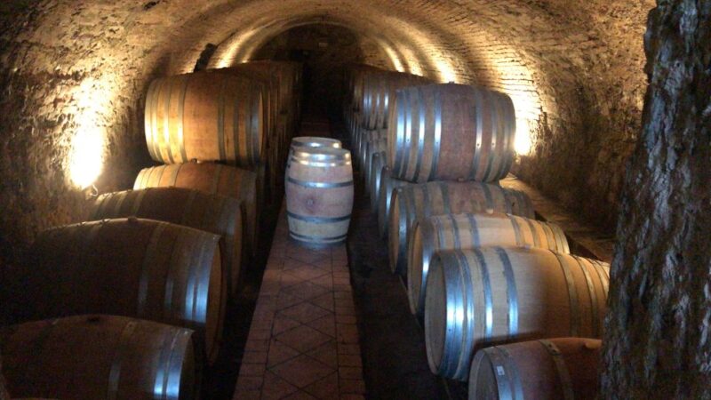 Exclusive Brunello Di Montalcino From Florence - Traditional Tuscan Lunch