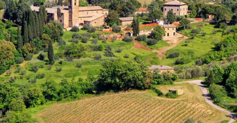 Exclusive Brunello Wine Tour a Private Luxury Experience - Experience Highlights