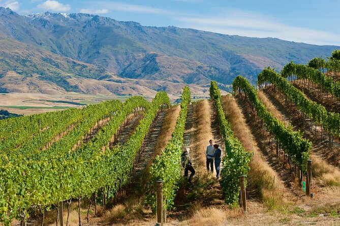 Exclusive Central Otago Wine Tour - Departs Queenstown - Customizable Packages