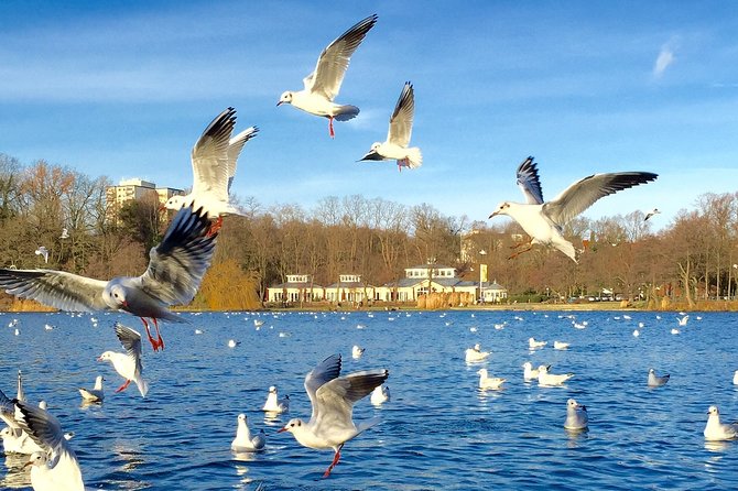 Exclusive Classic Car Tour Through the Posh Districts on the Alster - Tour Operator