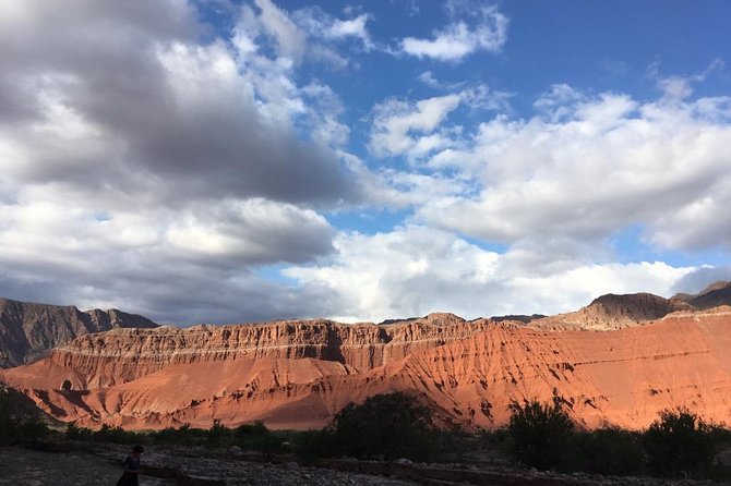 Exclusive Day-Long Private Tour of Cafayate Vineyards - Tasting Local Wines