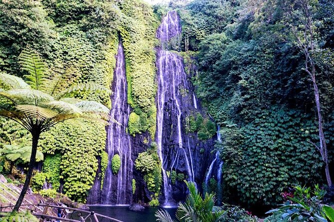 Exclusive Day Tour Waterfalls in Bali Review - Inclusions and Exclusions