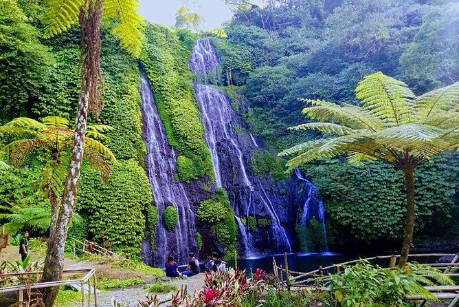 Exclusive Day Tour Waterfalls in Bali Review - Highlights and Attractions