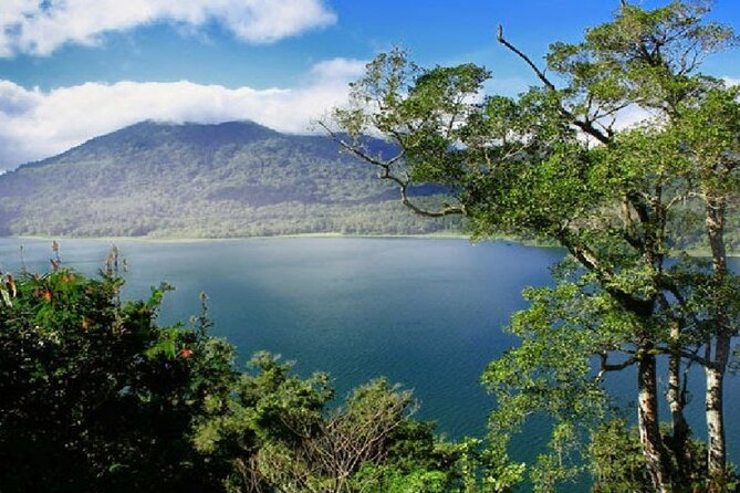 Exclusive Day Tour Waterfalls in Bali Review - Customer Feedback