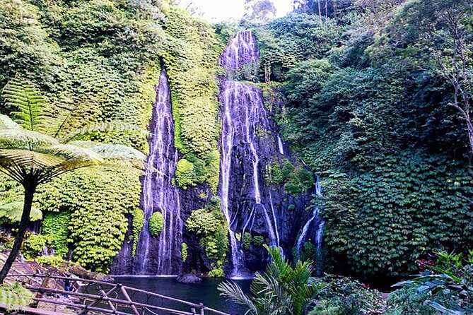 Exclusive Day Tour Waterfalls in Bali Review - Recap