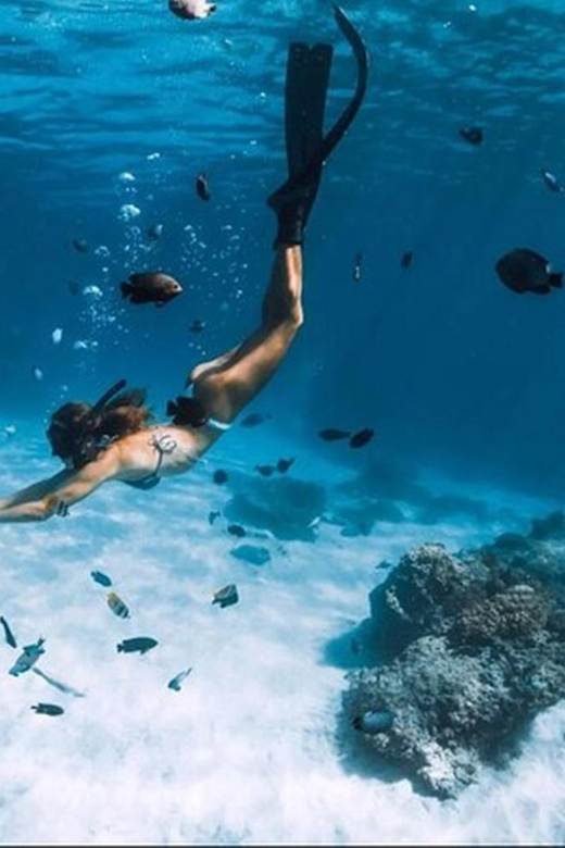 Exclusive Day Trip Adventure From Nassau - Observing Turtles at Green Cay