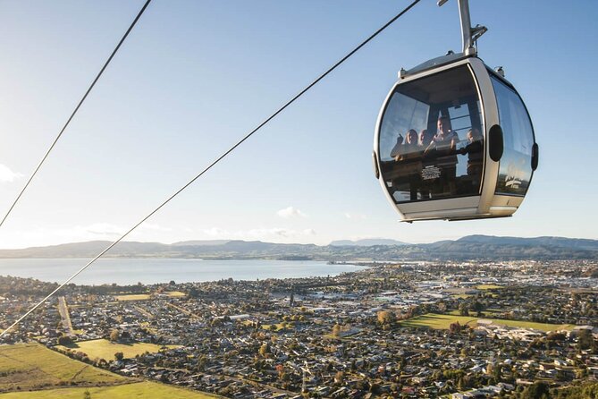 Exclusive Day Trip From Te Puia to Wine Tasting and Redwoods - Pickup Information
