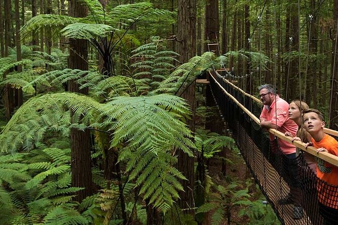 Exclusive Day Trip From Te Puia to Wine Tasting and Redwoods - Cancellation