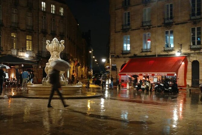 Exclusive ! Discover Vibrant Bordeaux at Night :Night Tour! - Tour Overview