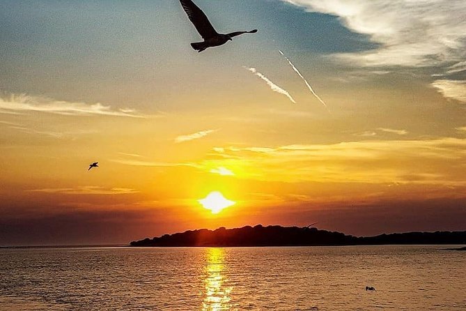 Exclusive Dolphin & Sunset Cruise With Dinner & Drinks From Pula - Dinner and Drinks