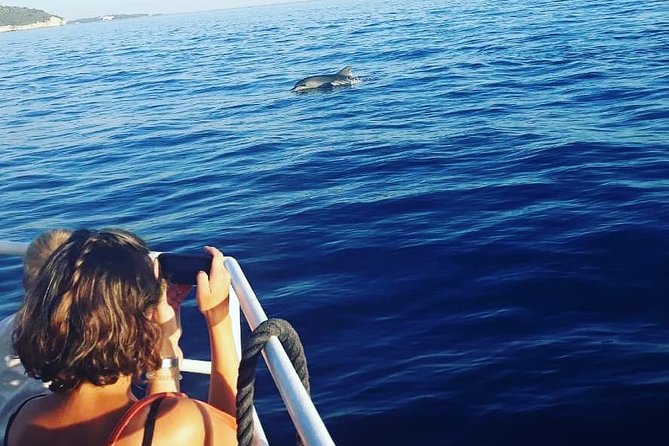 Exclusive Dolphin & Sunset Cruise With Dinner & Drinks From Pula - Arrival and Meeting Point