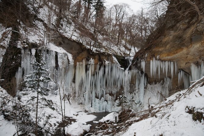Exclusive Evening Trekking Tour to the Frozen Nanajyo Waterfall - Arriving at the Meeting Point