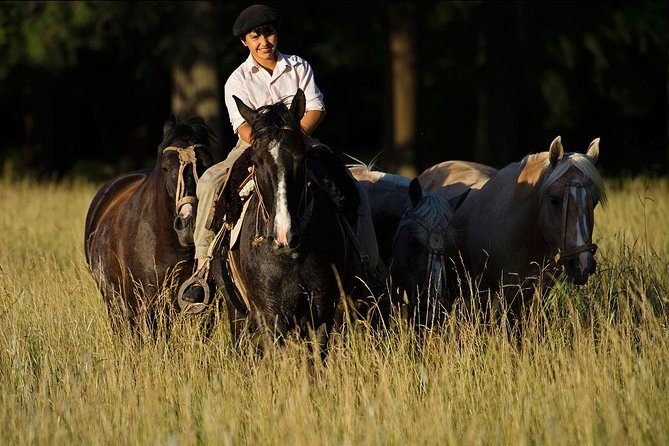 Exclusive Farm Day at Estancia La Bandada, Including Traditional Argentine Barbecue, Horseback Riding and Gaucho'S Show - Customer Feedback and Reviews
