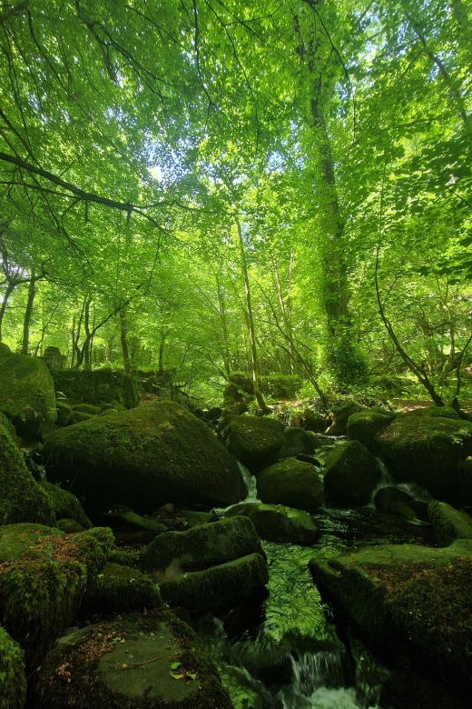 Exclusive Full Day Guided Tour - Mining and Gunpowder - 9C2P6W54+3GM Exploration