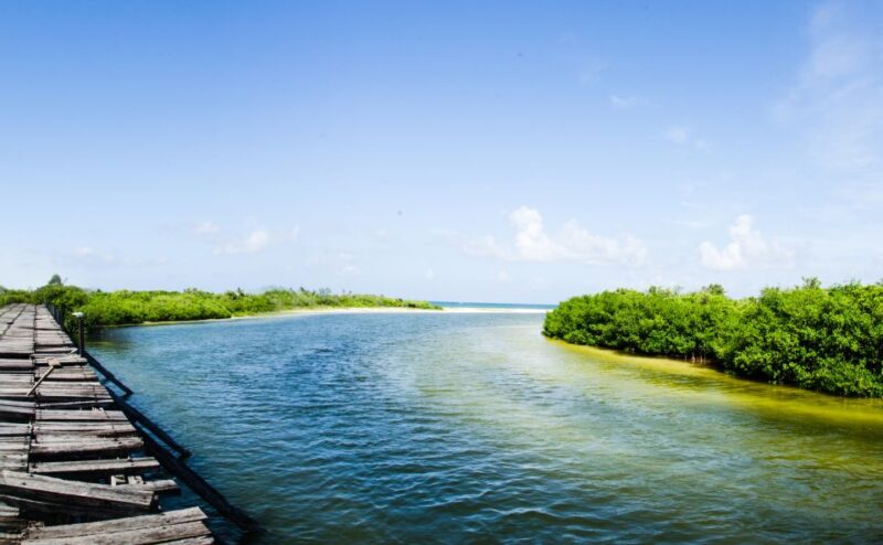 Exclusive Full Day Nature Expedition in Sian Kaan - Expedition Overview