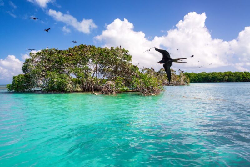 Exclusive Full Day Nature Expedition in Sian Kaan - Inclusions and Fees