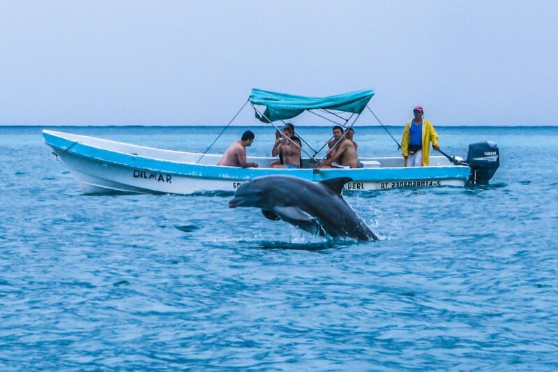 Exclusive Full Day Nature Expedition in Sian Kaan - Important Information