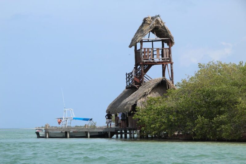Exclusive Full Day Nature Expedition to Holbox Island - Itinerary and Activities