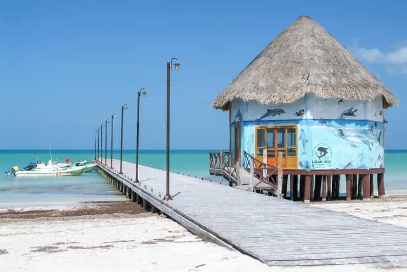 Exclusive Full Day Nature Expedition to Holbox Island - Inclusions and Exclusions