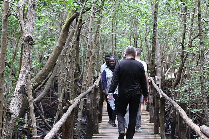 Exclusive Full-Day Zanzibar Adventure: Jozani Forest, Hidden Gems - Exploring Jozani Forest