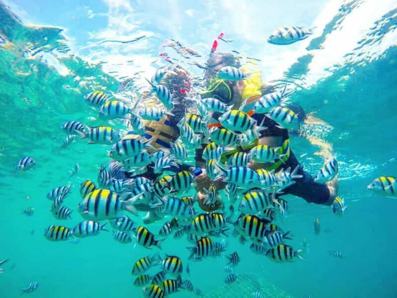 Exclusive Gili Nanggu, Sudak, and Kedis Tour Featuring GoPro - The Itinerary Breakdown