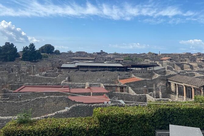 Exclusive Half-Day Tour in Pompeii With Skip the Line Tickets - Inclusions and Exclusions