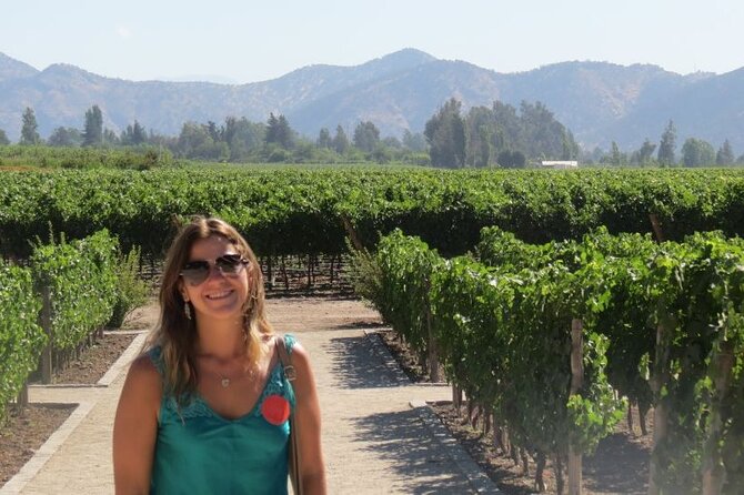 Exclusive Half Day Tour of Winerie Concha Y Toro From Santiago - Inclusions