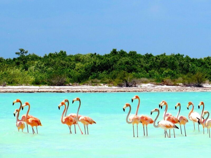 Exclusive Holbox: Yalahau, Punta Mosquito and Isla Pasion - Pickup Locations