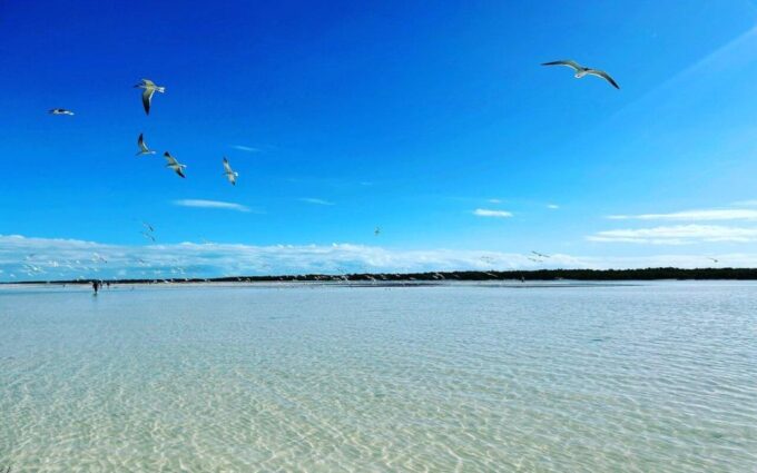 Exclusive Holbox: Yalahau, Punta Mosquito and Isla Pasion - Exclusions