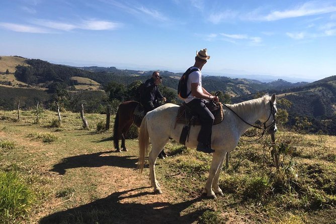 Exclusive Horse Experience With Pic-Nic at Belvedere - Safety and Accessibility