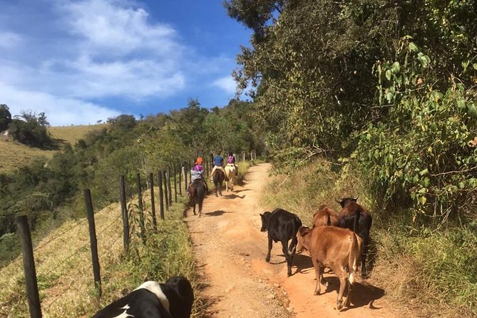 Exclusive Horse Experience With Pic-Nic at Belvedere - Suitable Attire