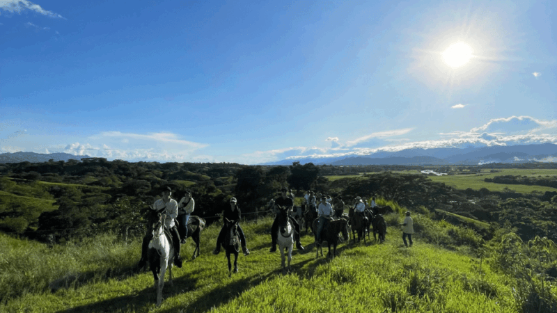 Exclusive Horseback Riding From Pereira: an Incredible Experience - Transportation and Pickup