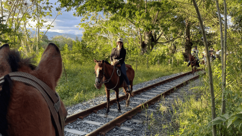 Exclusive Horseback Riding From Pereira: an Incredible Experience - Tour Guide and Language