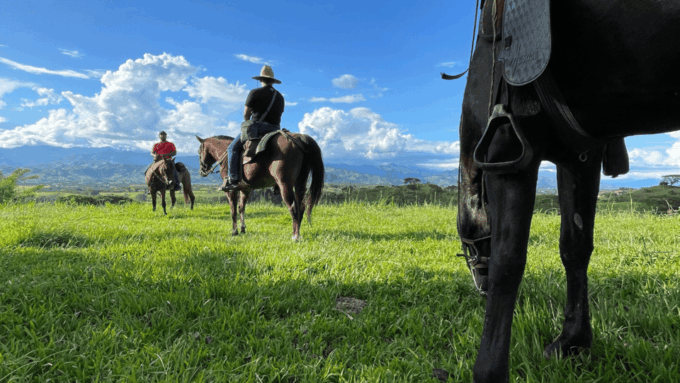 Exclusive Horseback Riding From Pereira: an Incredible Experience - Booking and Availability