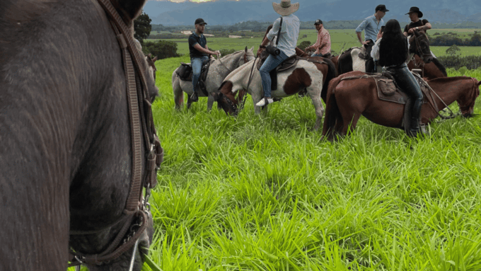 Exclusive Horseback Riding From Pereira: an Incredible Experience - What to Expect