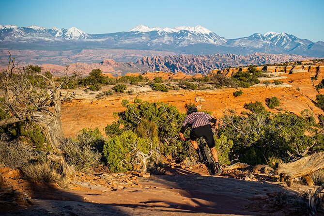 Exclusive Intermediate Advanced Private Guided Mountainbike Tour - Professional Expert Guide