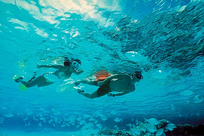 Exclusive Isla Mujeres Tour In Catamaran! Sailing From Cancun - Additional Information