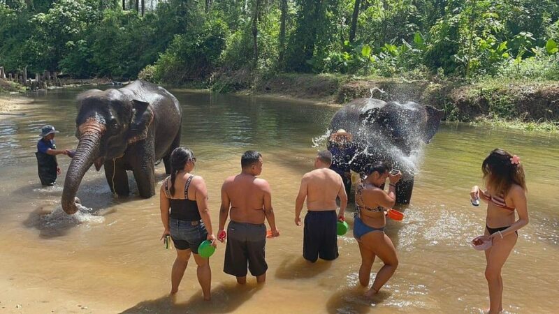 Exclusive Khao Lak Highlights - Private Tour - Elephant Sanctuary Experience