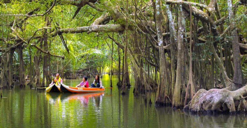 Exclusive Khao Lak Highlights - Private Tour - Bamboo Rafting on Klong Kiang Koo