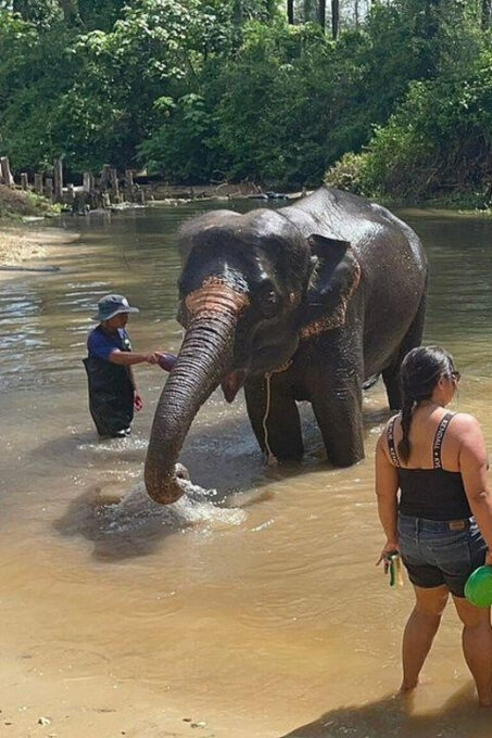 Exclusive Khao Lak Highlights - Private Tour - Temples and Waterfalls