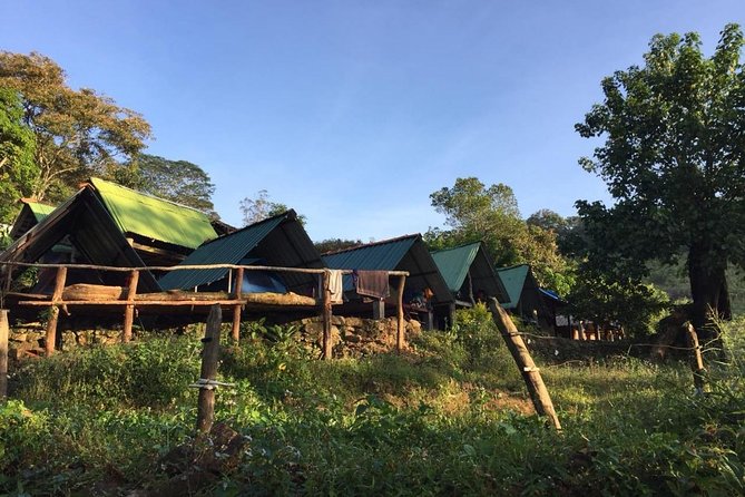 Exclusive Knuckles Camping Tour From Kandy - Health and Safety Requirements