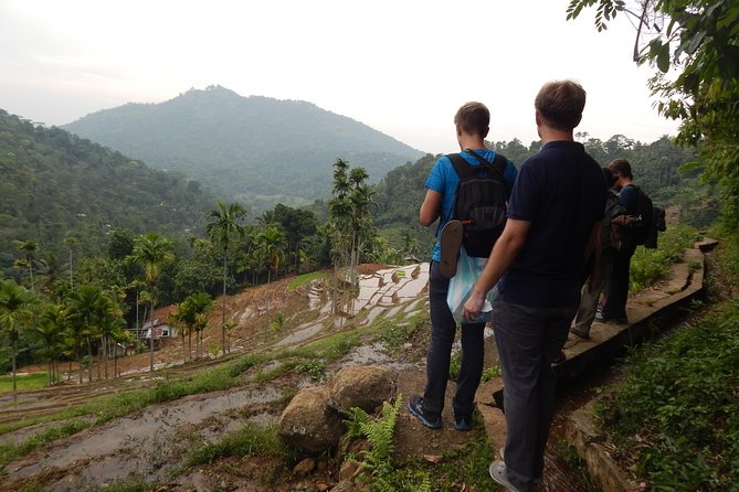 Exclusive Knuckles Camping Tour From Kandy - The Knuckles Mountain Range